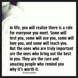 IMG_66524722286634 (3)